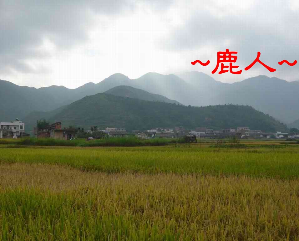 一方水土005.JPG