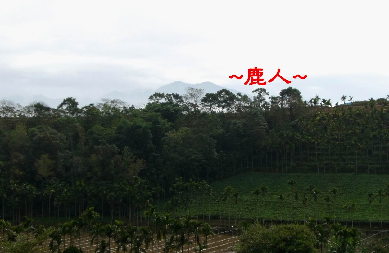 一字案_588.JPG
