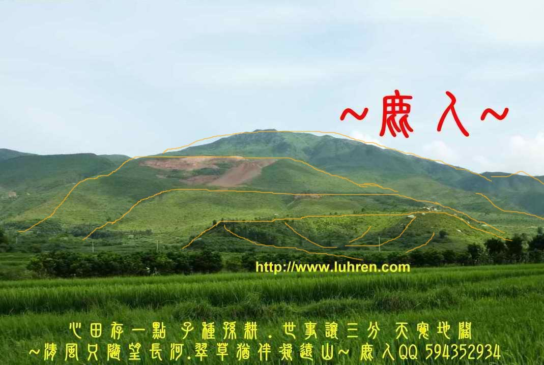 一把罩_212(標).JPG