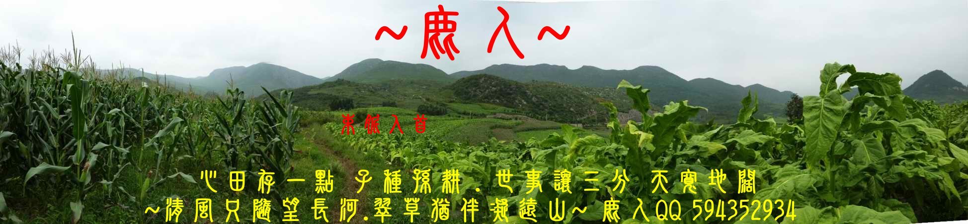 一局_02(標示).JPG