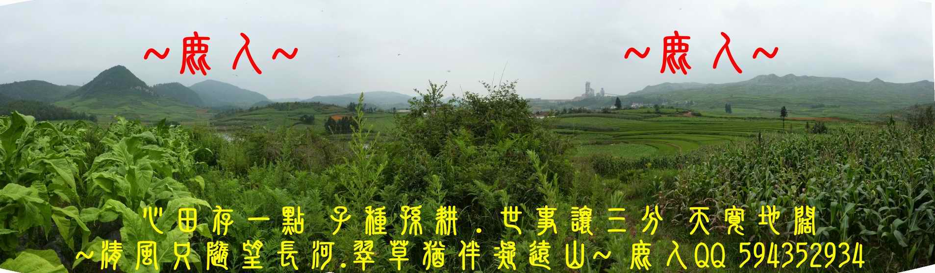 一局_03.JPG