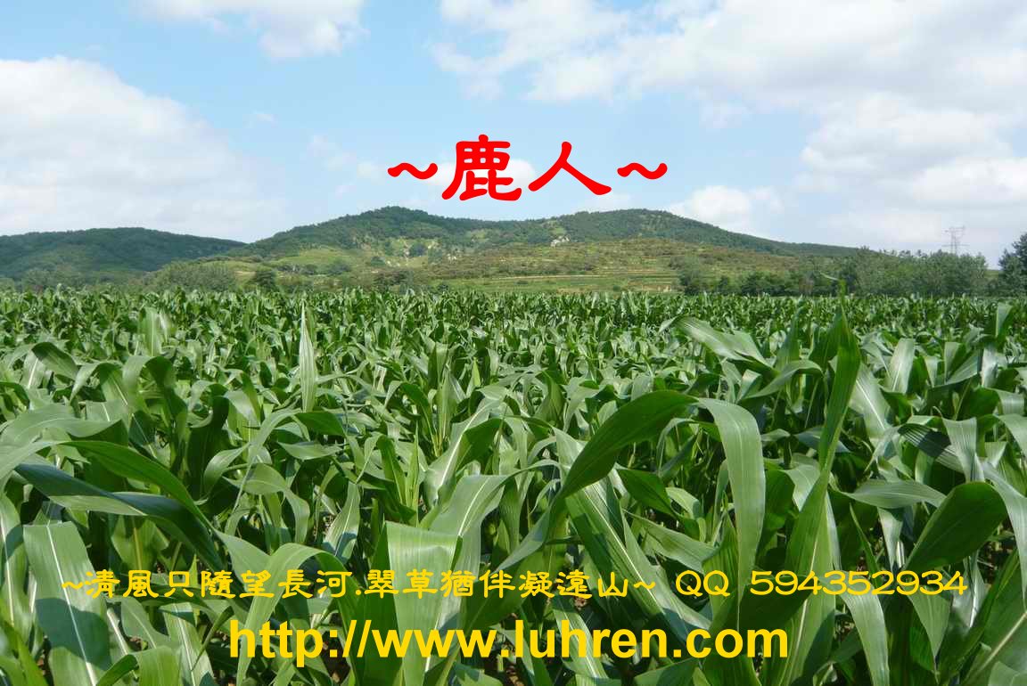 一個愛巒頭的老人看_003.JPG