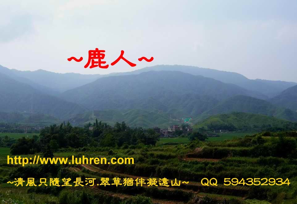 一個愛巒頭的老人看_002.jpg