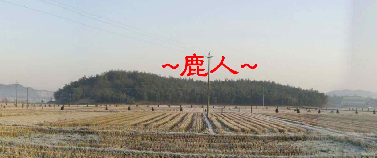 一條龍.JPG