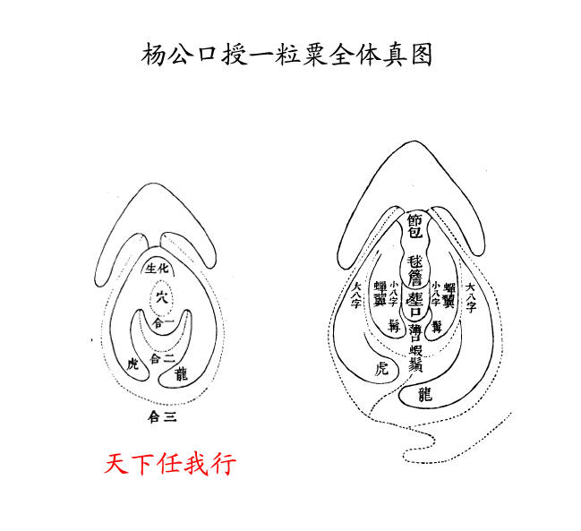 一粒粟.png