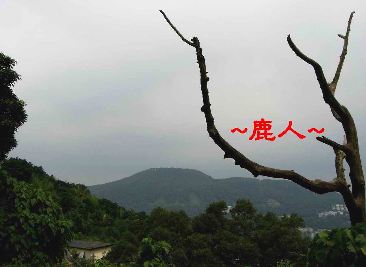 了.JPG