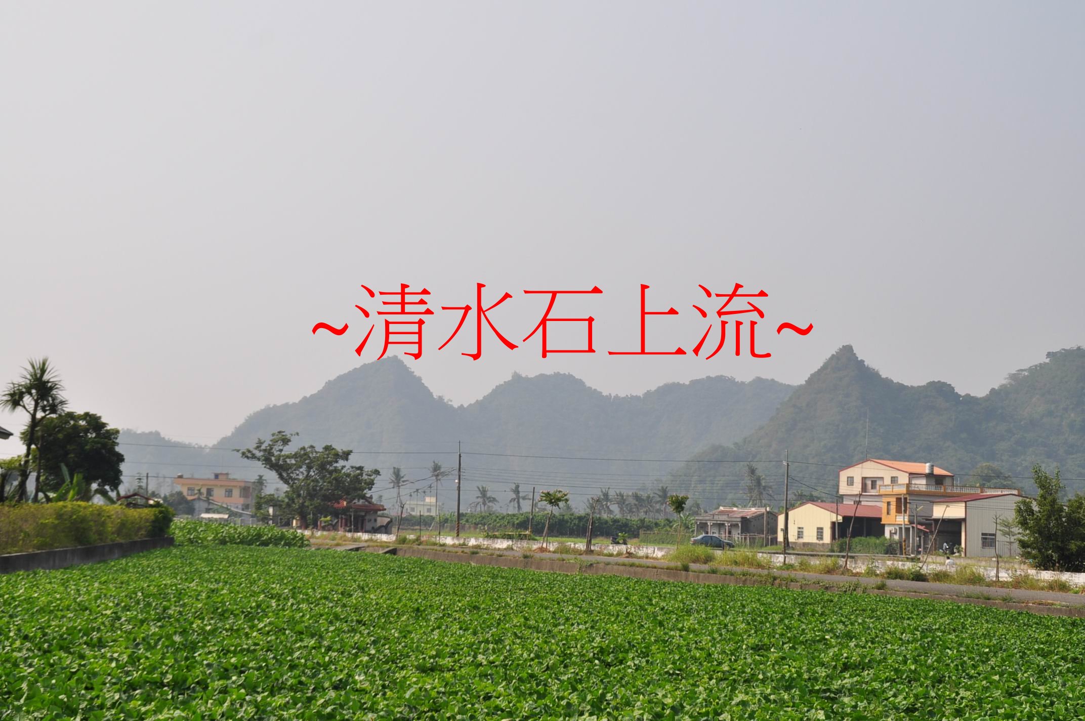 入口1.jpg