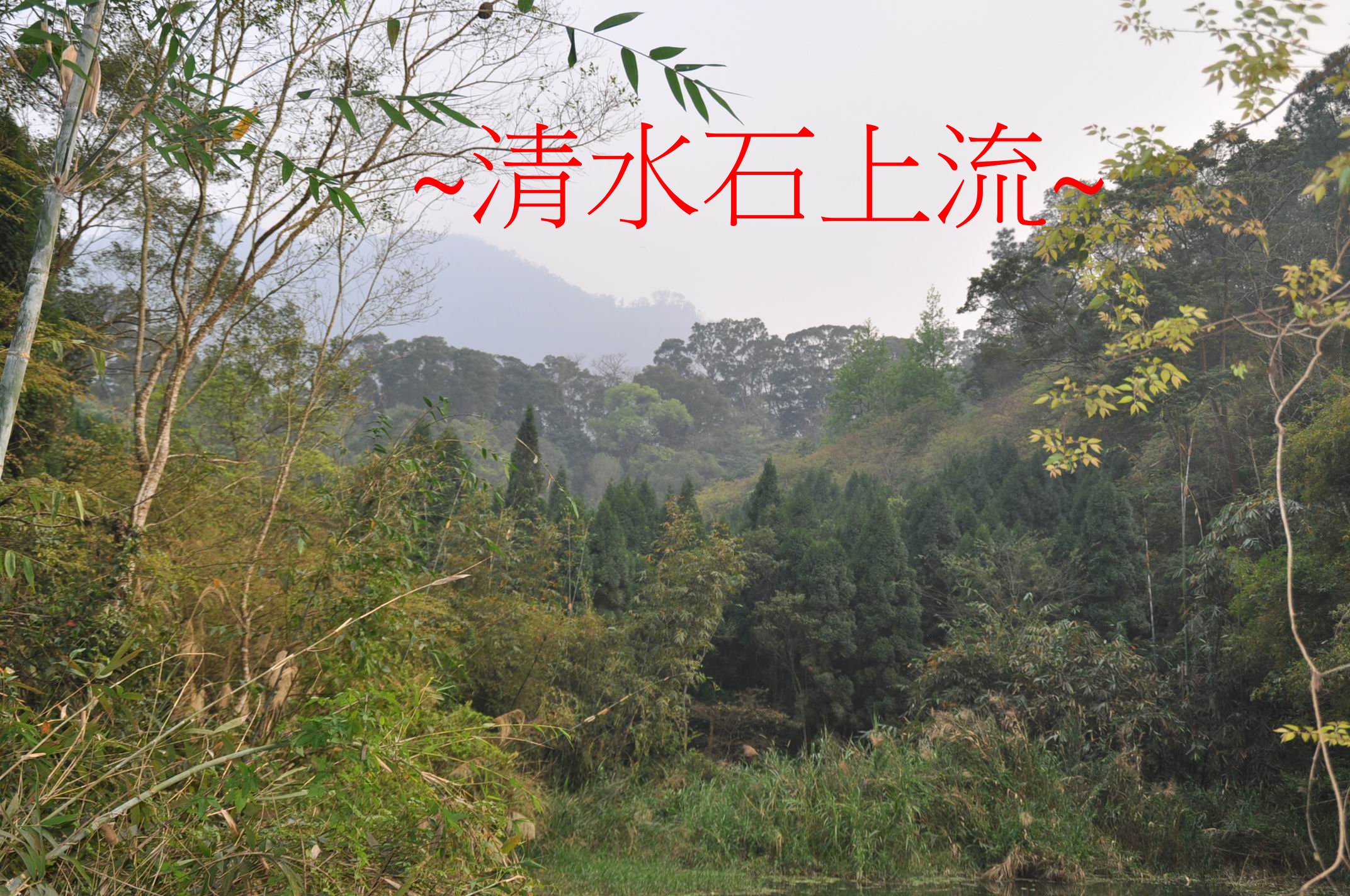 入首.jpg