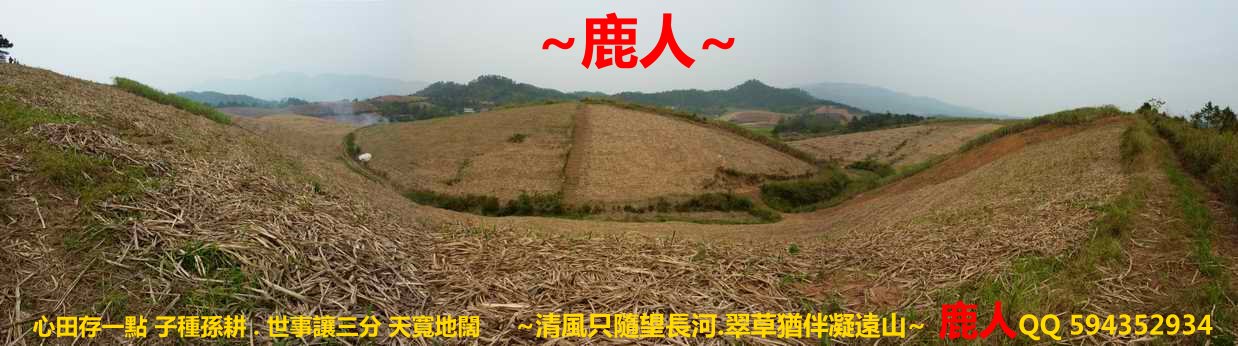 十萬大山含苞待放花蕾_01.JPG
