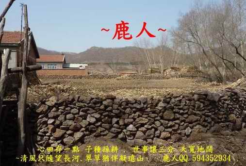 三台_999.JPG.jpg