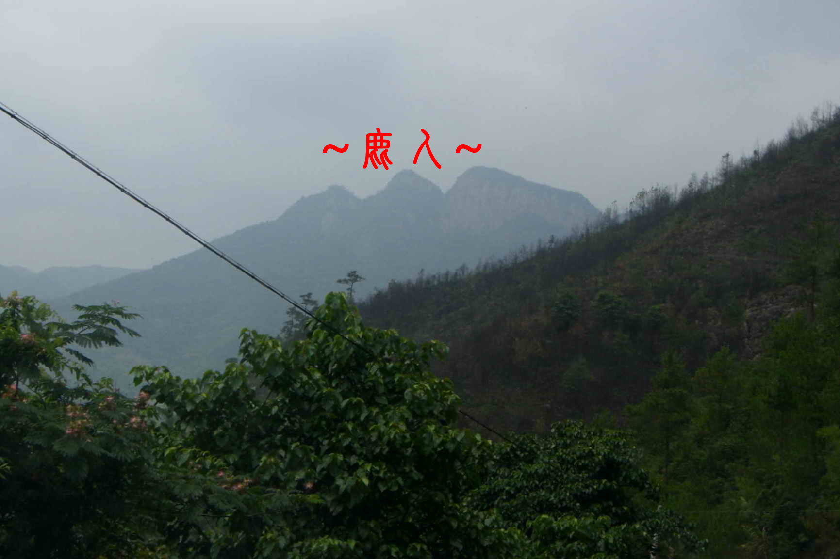 三台為祖.JPG