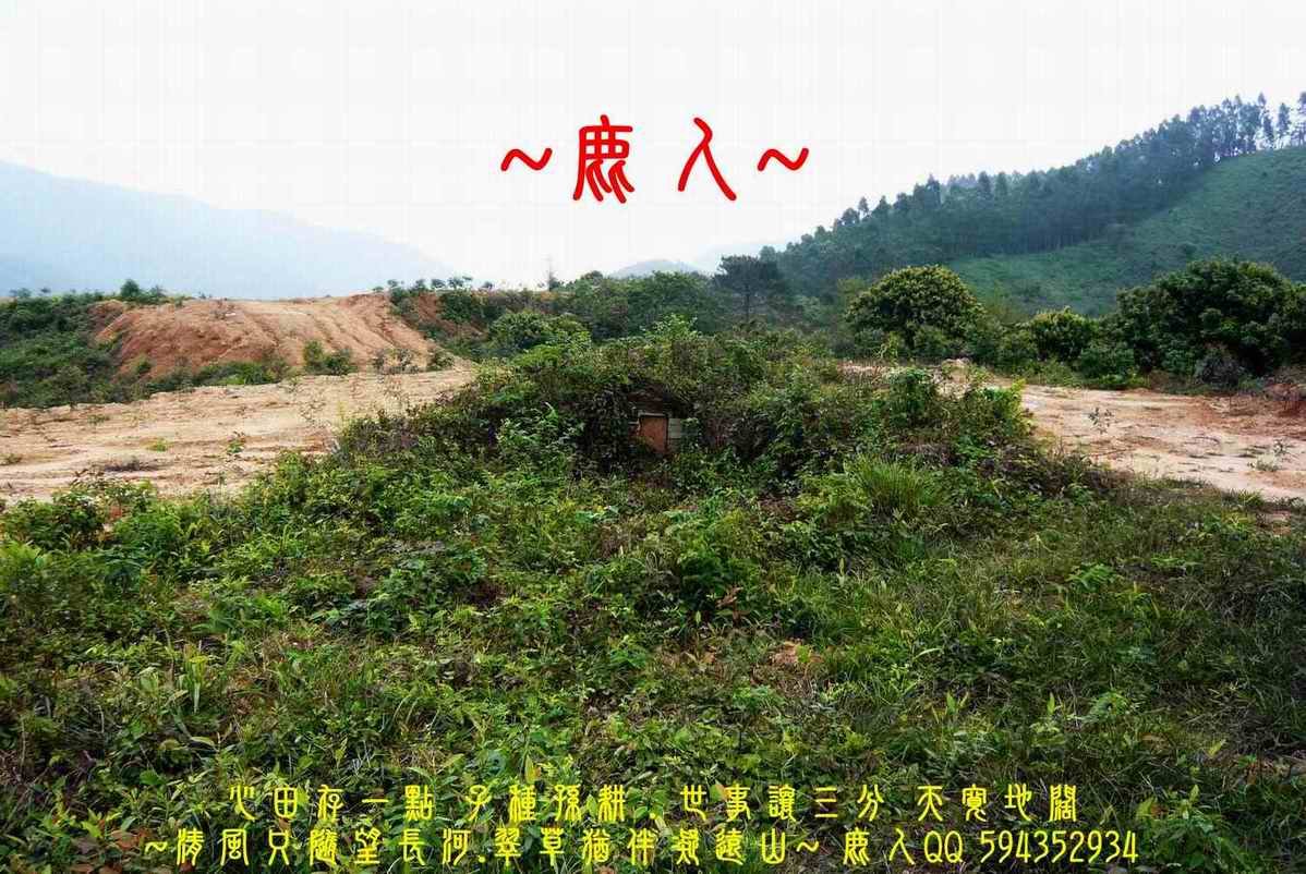 三探老人家_9.JPG