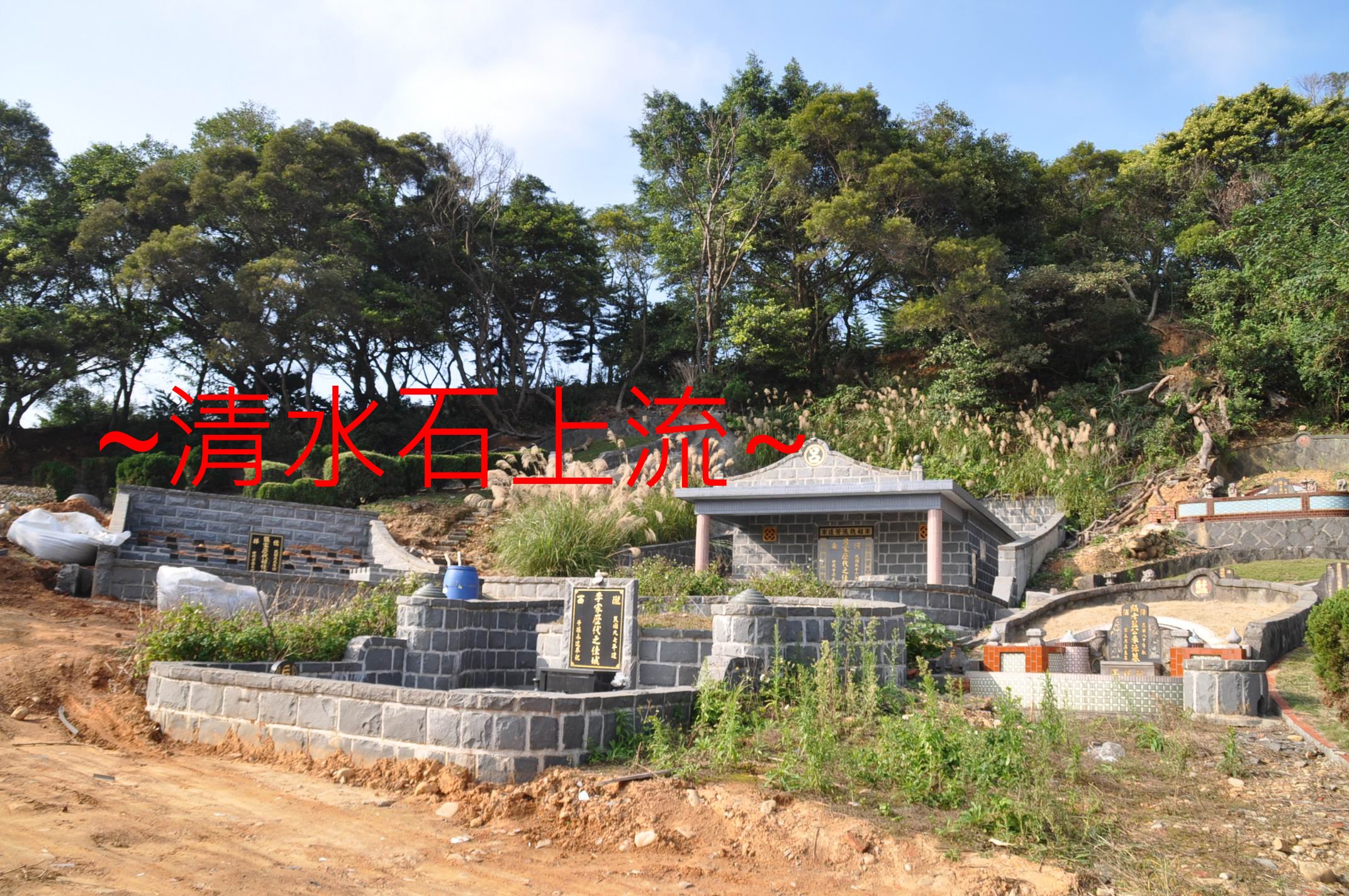 下看虎.jpg