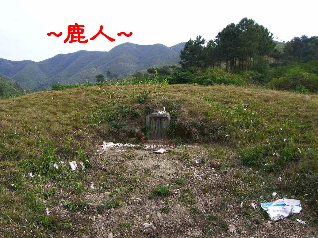 下嶺蛇地_近看明崇禎時期古墓.JPG