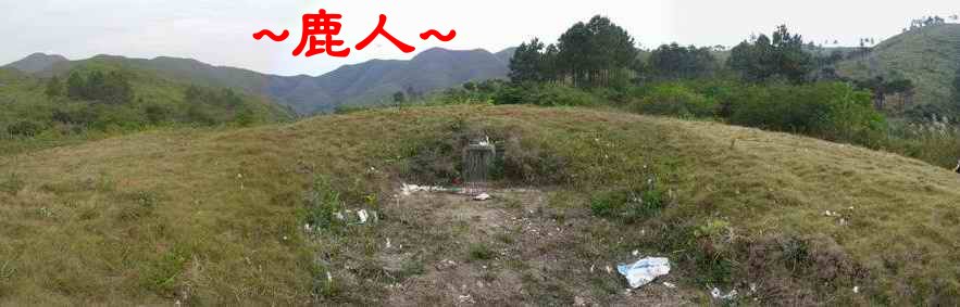 下嶺蛇地_看穴場與古墓_2.JPG