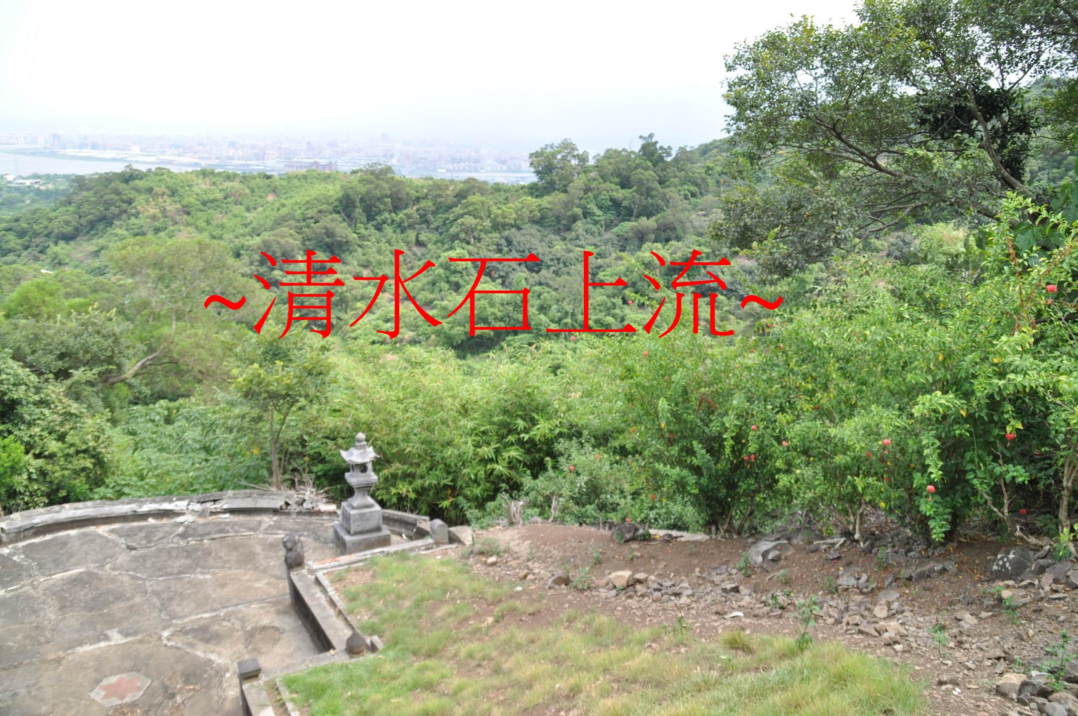 上看右.jpg