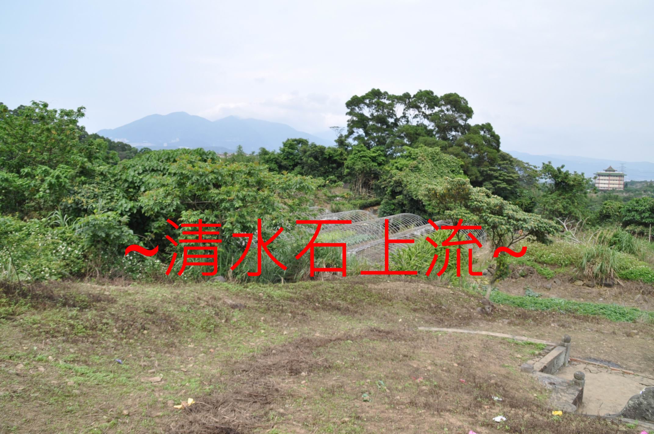 上看左.jpg