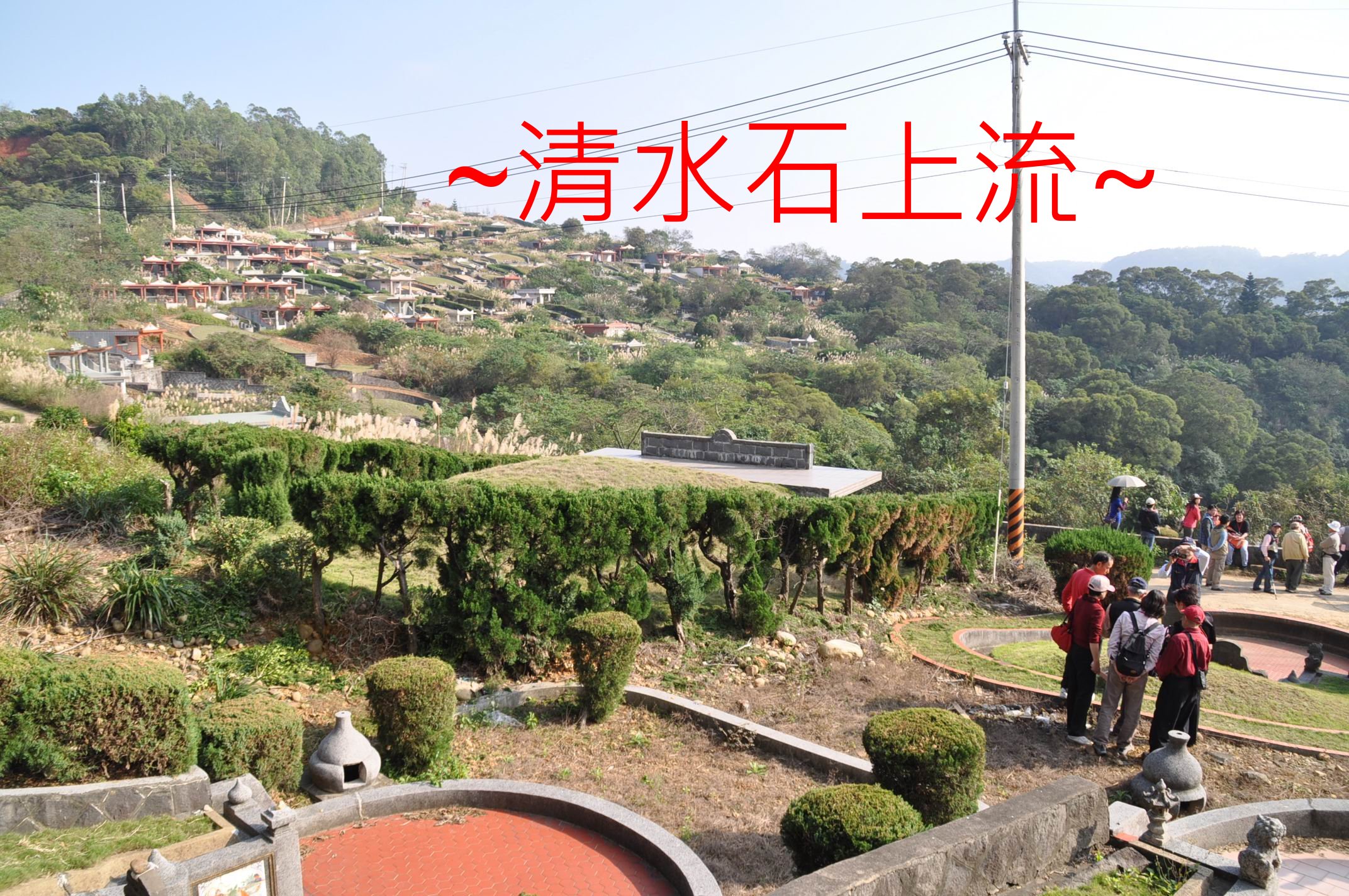 上看左.jpg