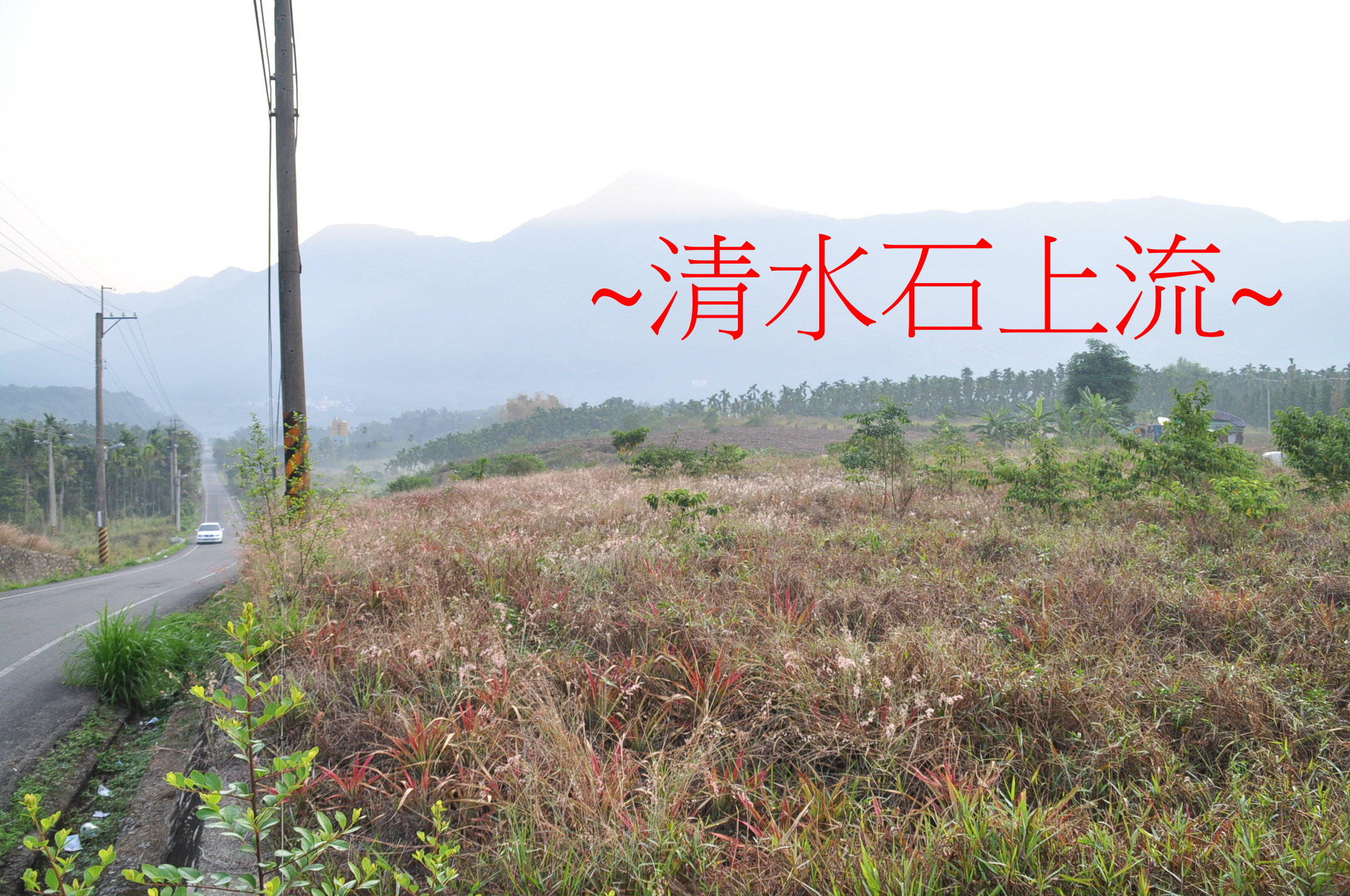 上馬.jpg