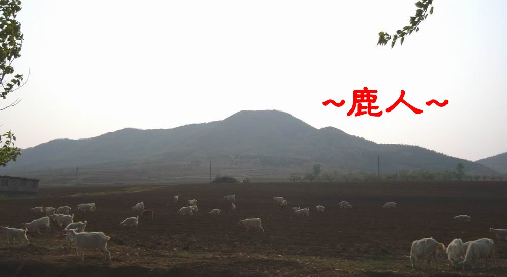 土與羊016.JPG