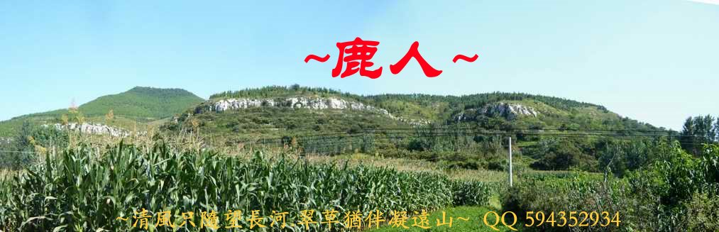 大大龍_01.JPG