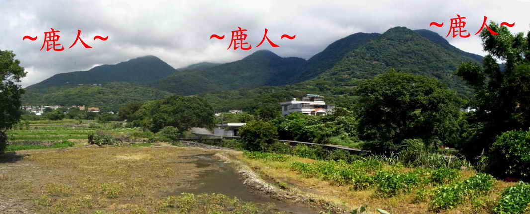 大地行龍622_011.JPG
