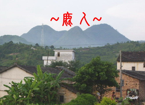 大鵬展翅_25.jpg
