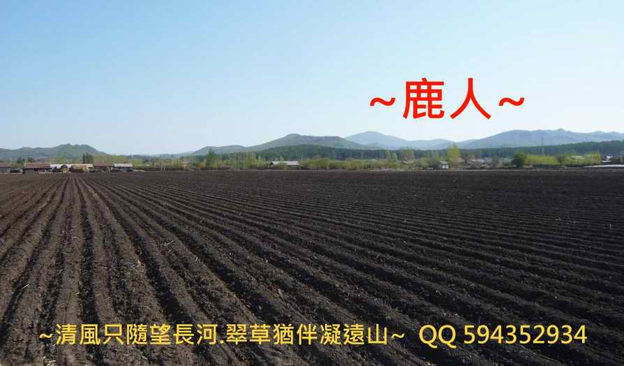 小興安嶺_4.JPG
