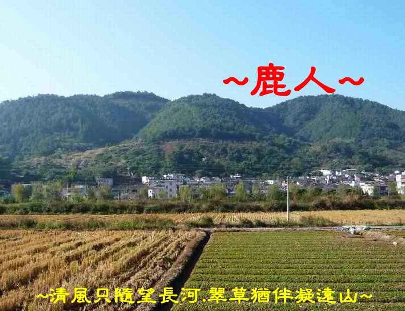 山相_112.JPG