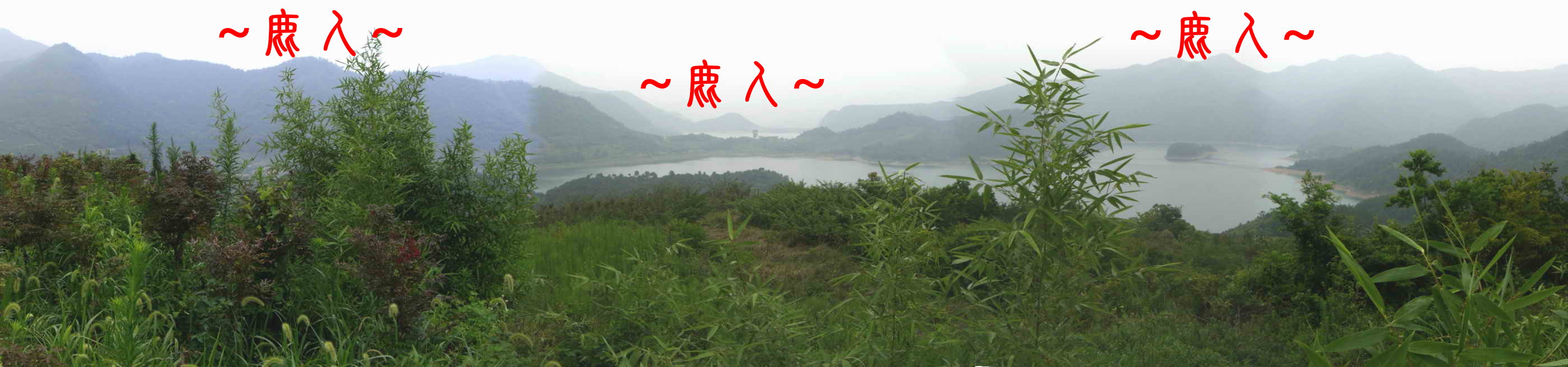 山環水抱_627.JPG