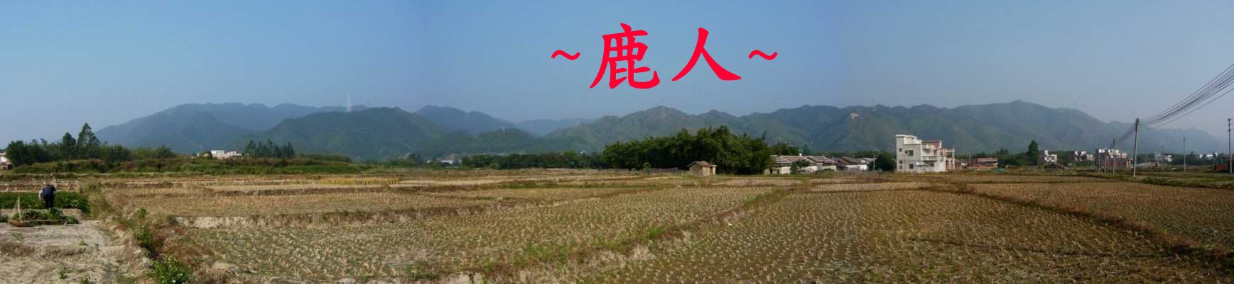 山龍_側看行龍一段_783.JPG