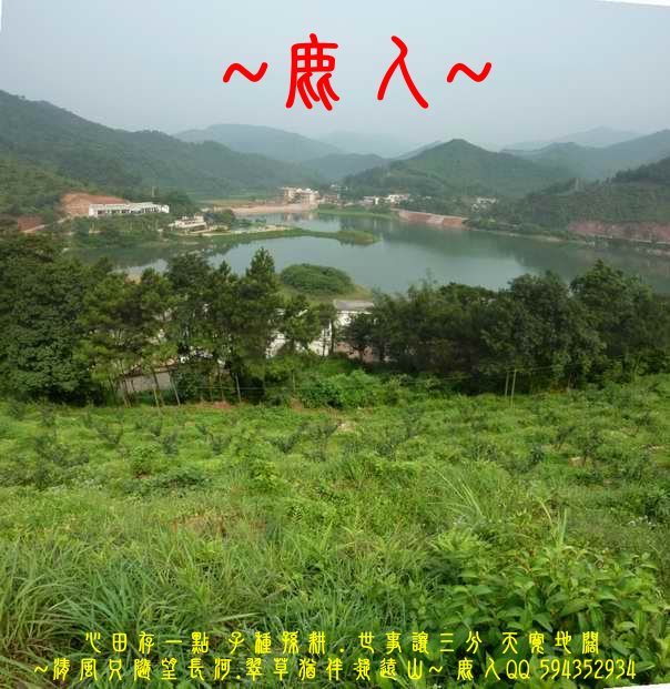 不問從那裡來_07.JPG