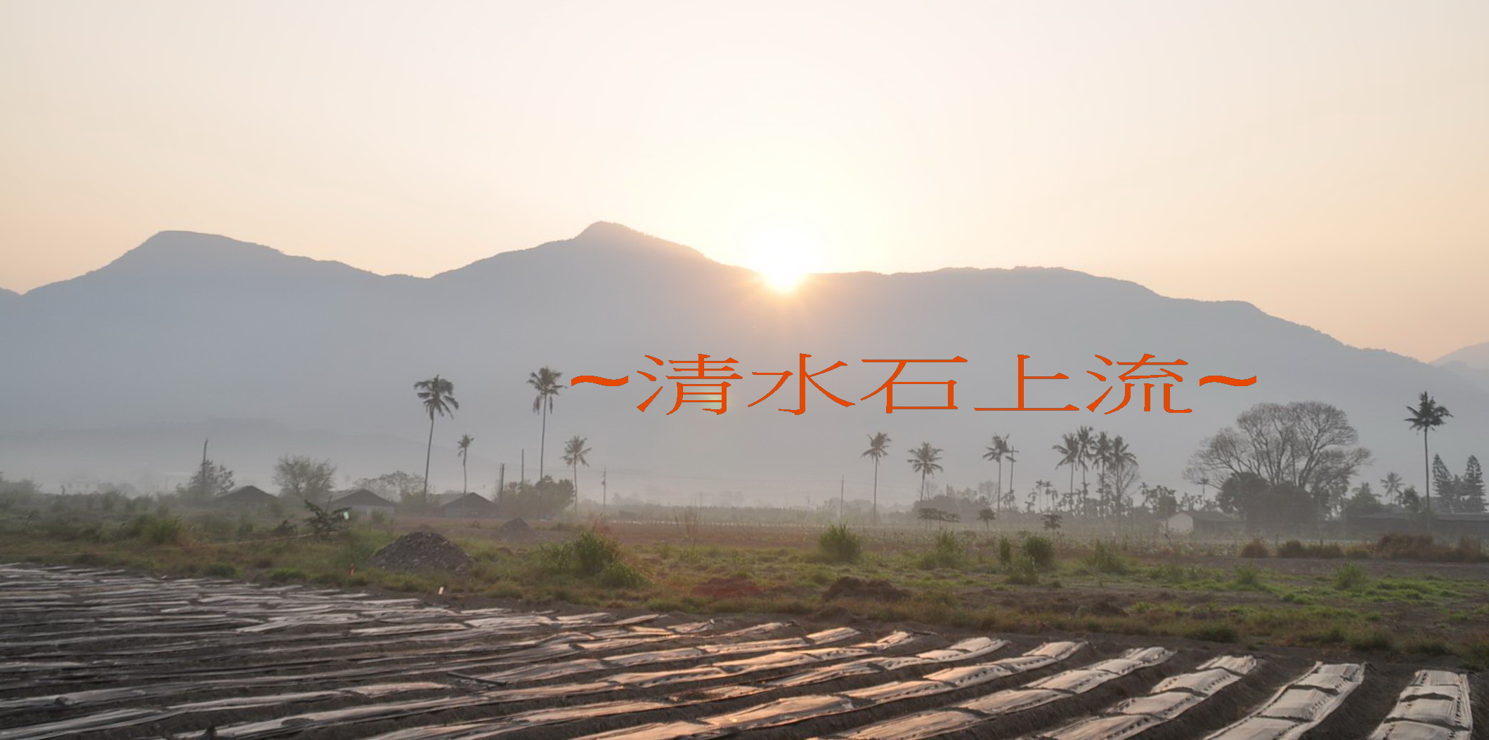 天馬6.jpg