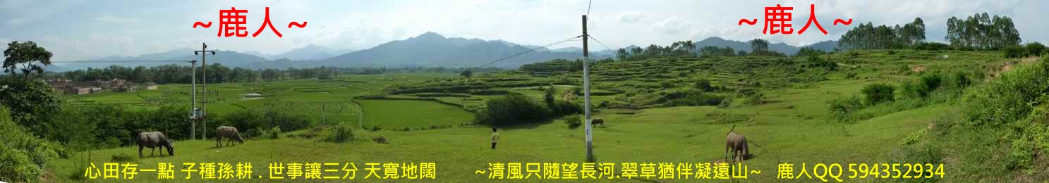 太極_03.JPG