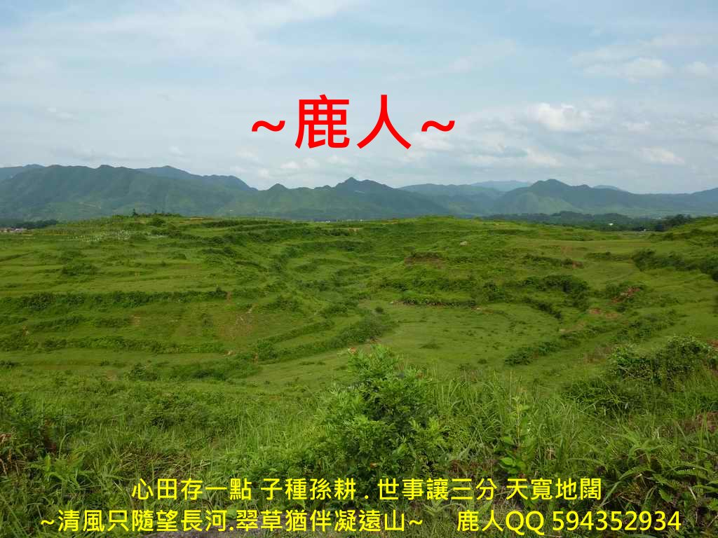 太極_06 .JPG
