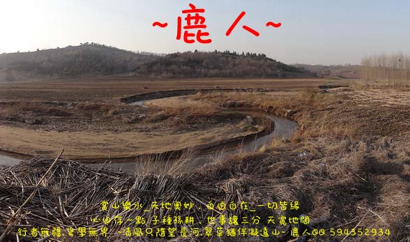 太極__99.JPG