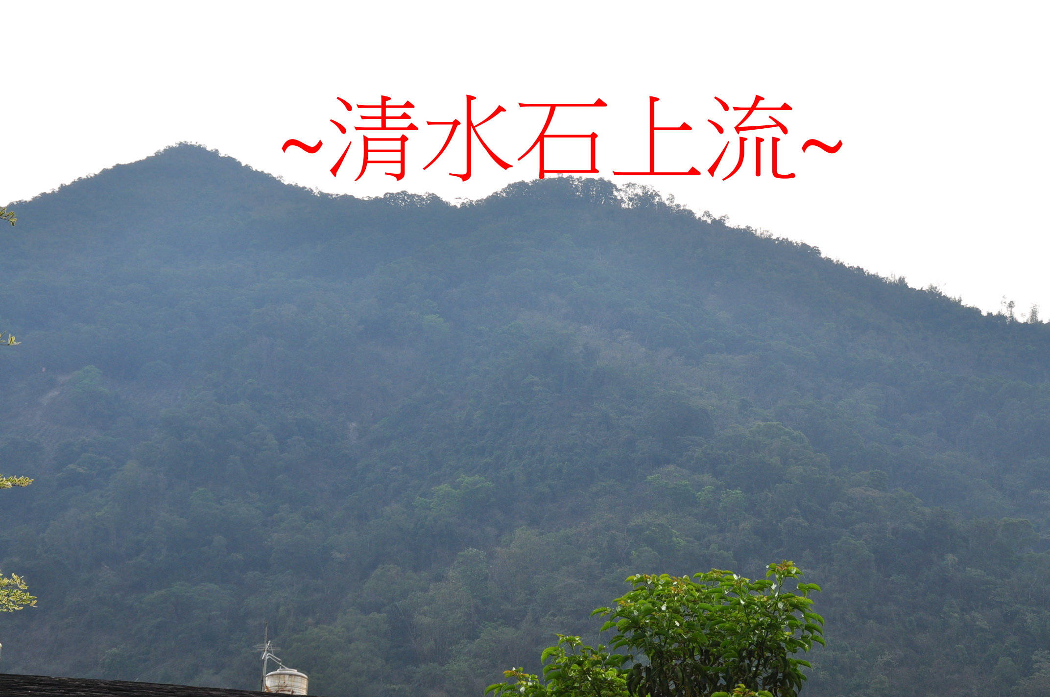 少祖下脈.jpg