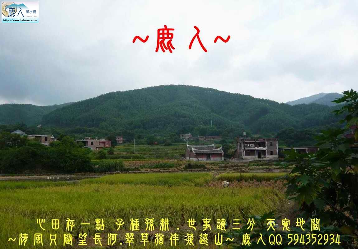 月半圓.jpg