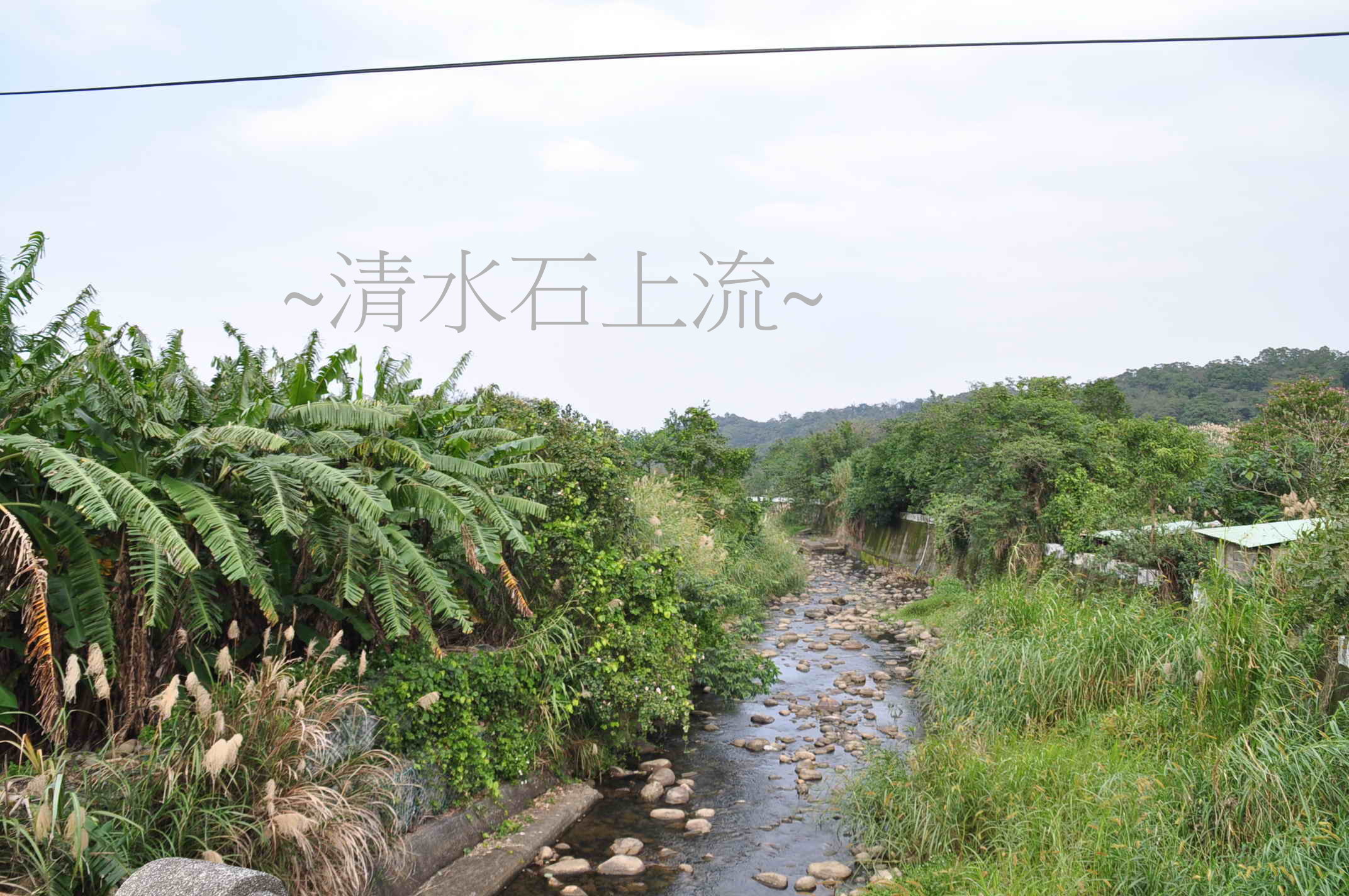 水.jpg