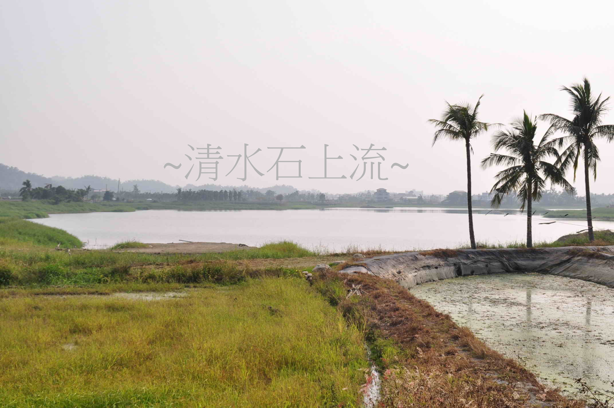 水聚丙巳2.jpg