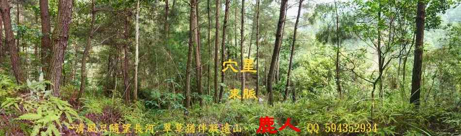 牛7.JPG