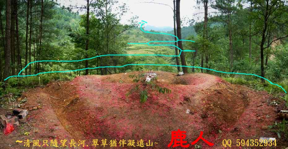 牛13.JPG