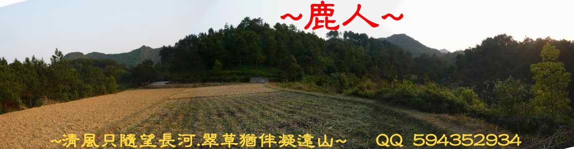 牛2.JPG