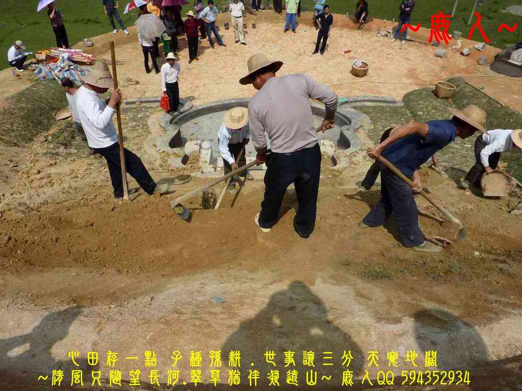 牛_07.JPG