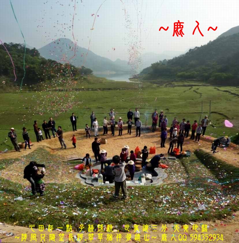 牛_08.JPG