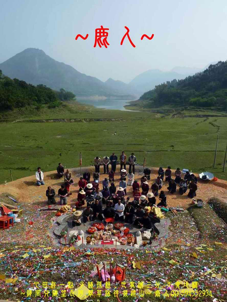 牛_10.JPG