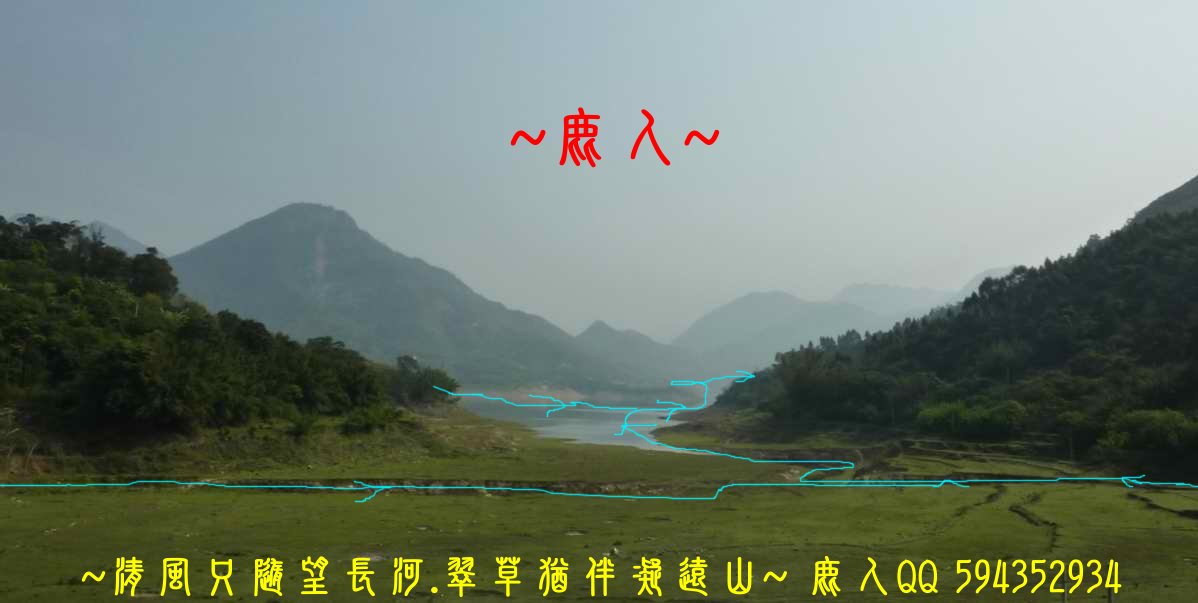 牛_14.JPG