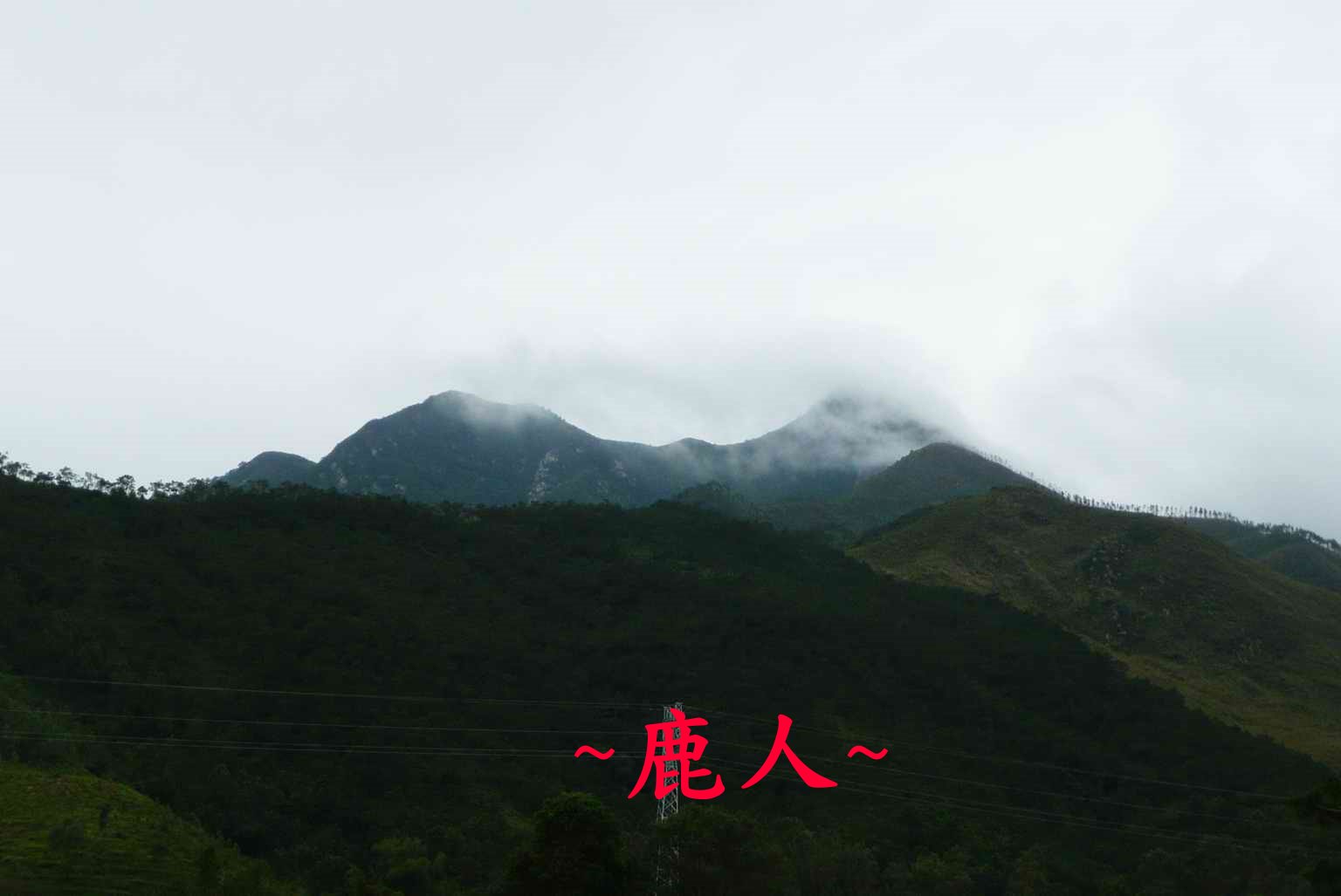 牛呀_4.JPG