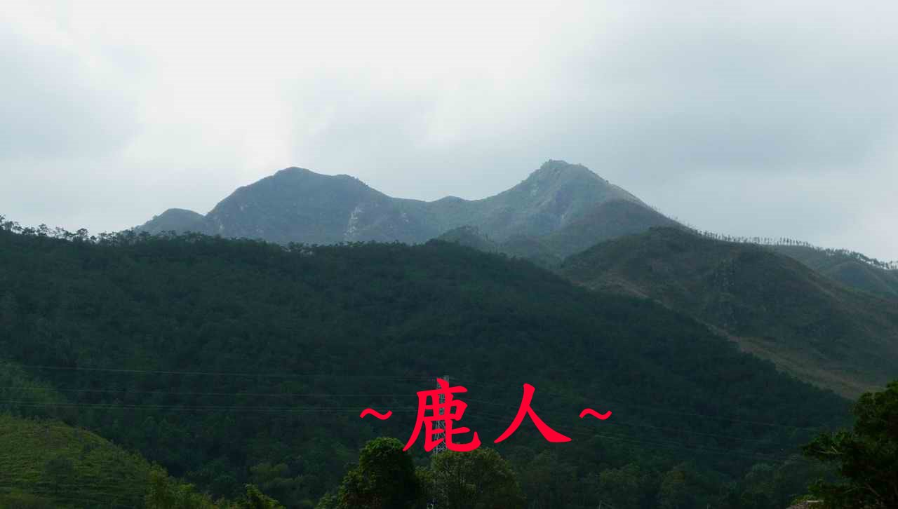 牛呀_8.JPG