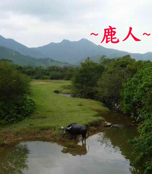 牛呀_11.jpg